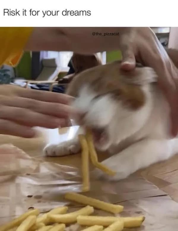 Blurry photo of a cat stealing a french fry with motivational text overlay.