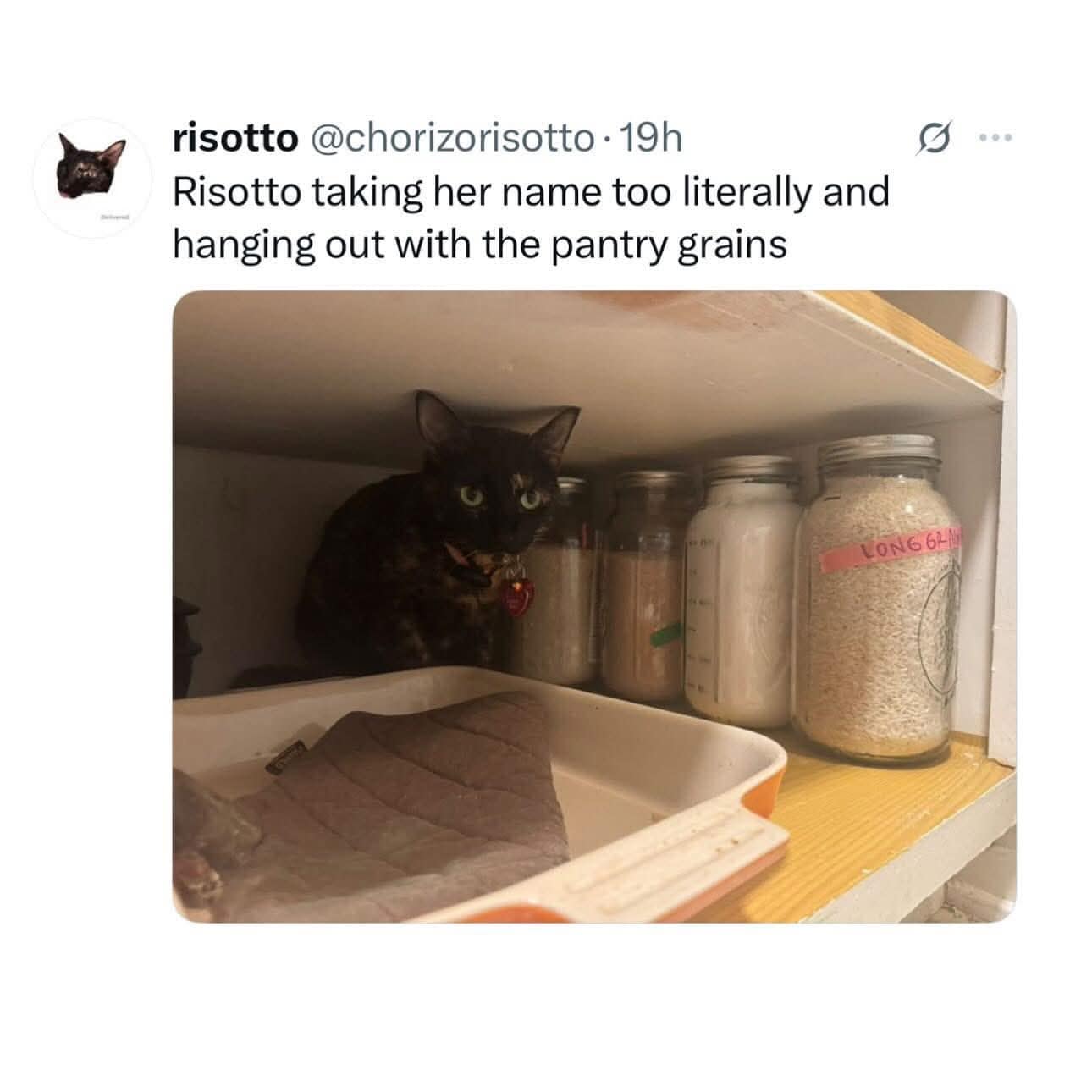 A funny tweet about a black cat named Risotto "taking her name too literally" by hiding with pantry grains.