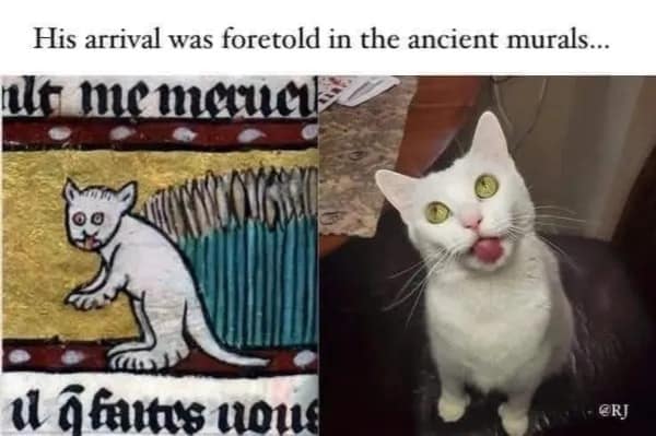 Real white cat mimicking derpy face of medieval cat painting funny pics