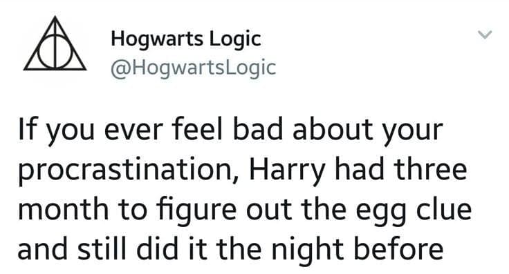 A Harry Potter meme and viral tweet joking about Harry procrastinating on the golden egg clue.