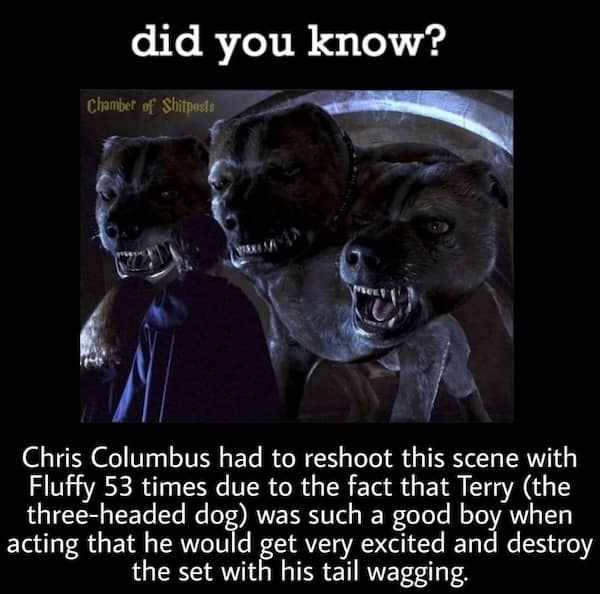 Harry potter meme pointing out that Chris Columbus shot the Fluffy scene 53 times