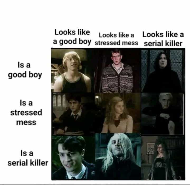 A Harry Potter meme alignment chart for "Looks like a good boy / Is a serial killer" featuring Ron, Harry, and Tom Riddle
