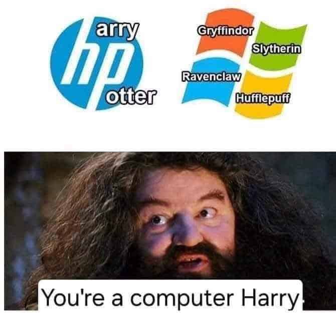 A Harry Potter meme and pun combining the HP logo and the Windows logo with Hagrid's face.