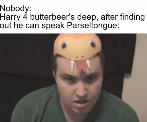 Harry potter meme showing Harry drunk on Butterbeer wearing a snake hat