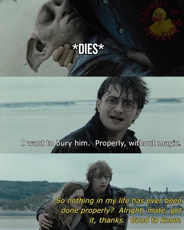 Harry potter meme about burying Dobby without magic but realizing you have no skills