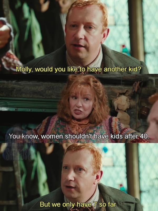 Harry potter meme where Arthur Weasley questions having another kid after seven