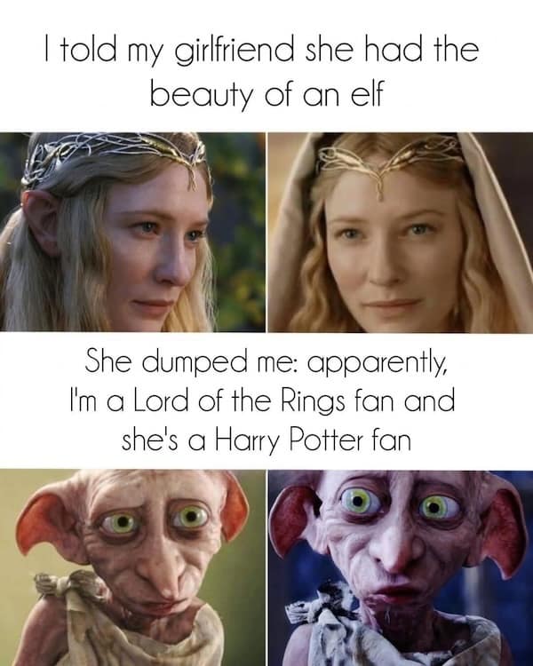 Harry potter meme comparing the beauty of LOTR elves to Harry Potter elves