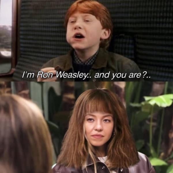 Harry potter meme where Ron Weasley introduces himself to Sydney Sweeney on the train