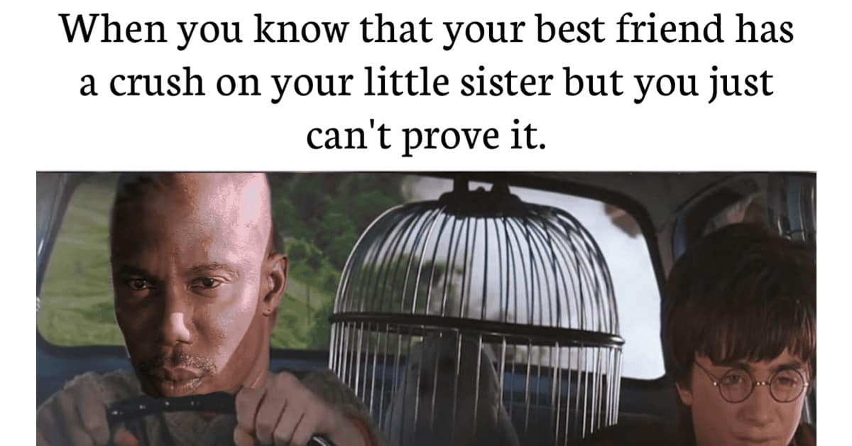 A gallery of the best Harry Potter memes, featuring funny jokes about the movies and characters.