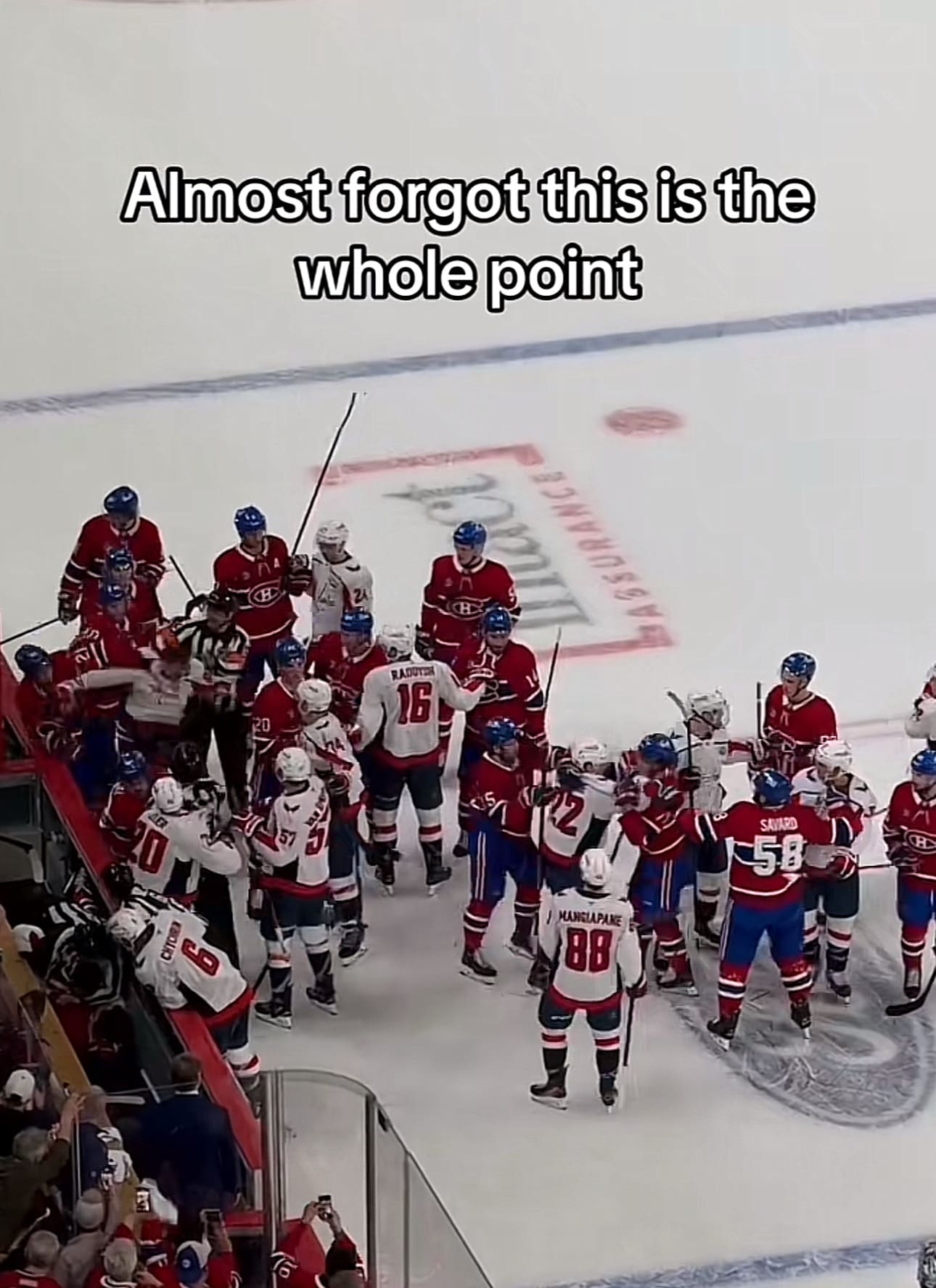 A classic hockey meme of a massive line brawl, captioned "Almost forgot this is the whole point."