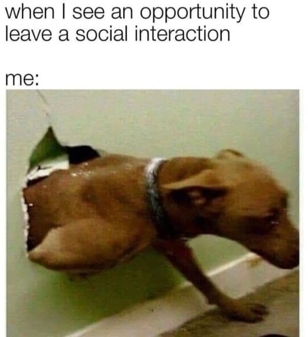 A hilarious introvert meme of a dog escaping through a tiny hole, captioned "leaving a social interaction."