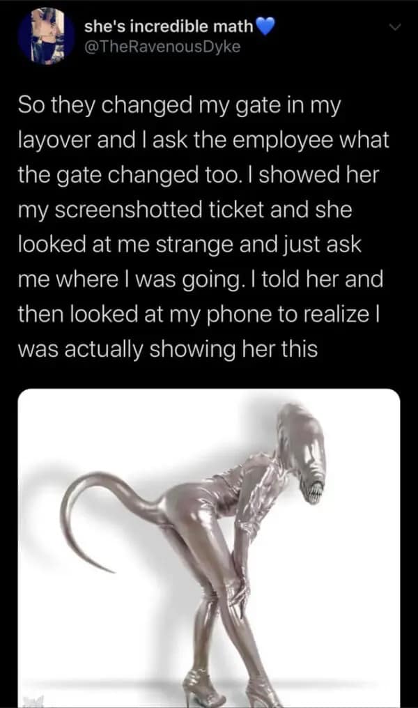 A hilarious introvert meme and viral tweet about accidentally showing a "sexy alien" photo to an airport employee.