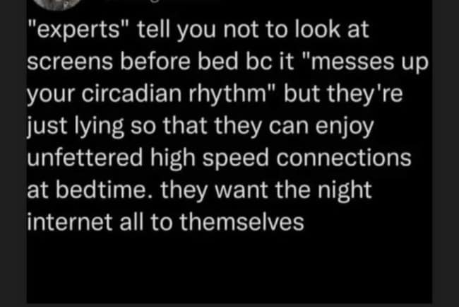 A funny conspiracy tweet claiming "experts" want the "night internet" all to themselves.