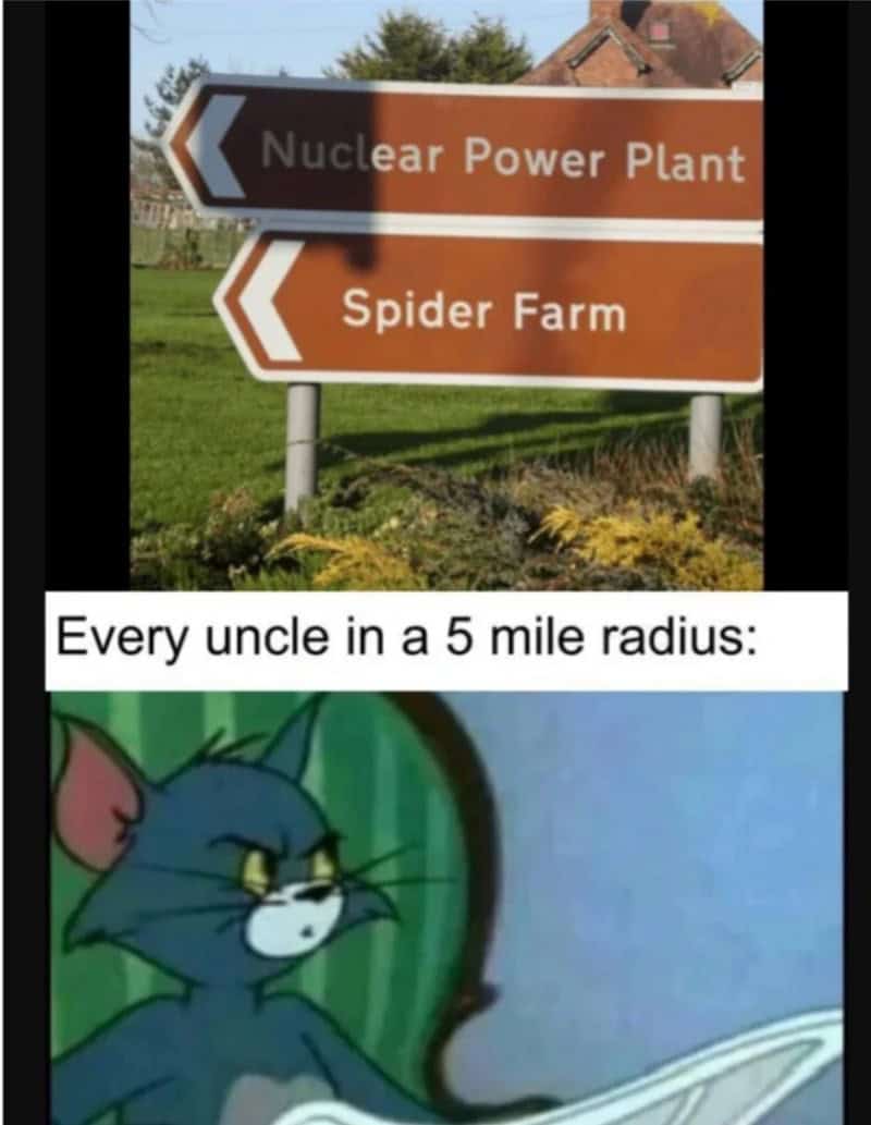 Funny Spider-Man origin meme showing a "Spider Farm" sign and Tom the cat, captioned "Every uncle...is nervous."