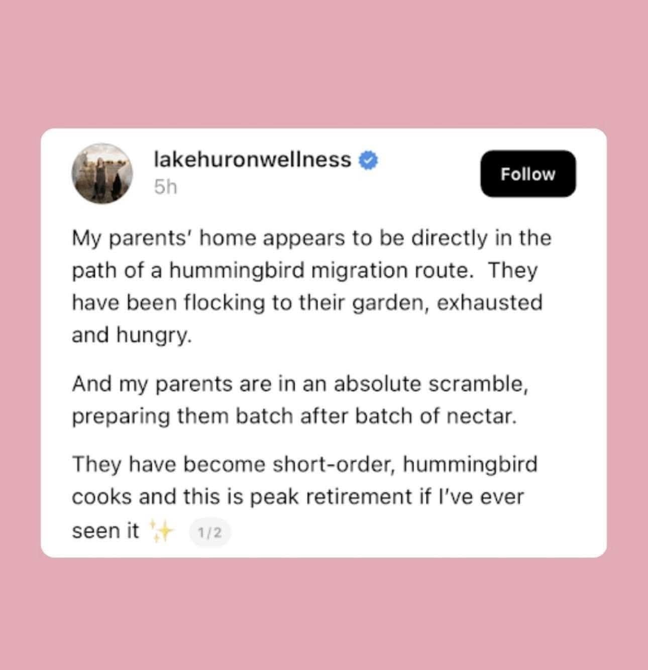 A wholesome and funny meme about parents becoming "short-order hummingbird cooks" during a migration.