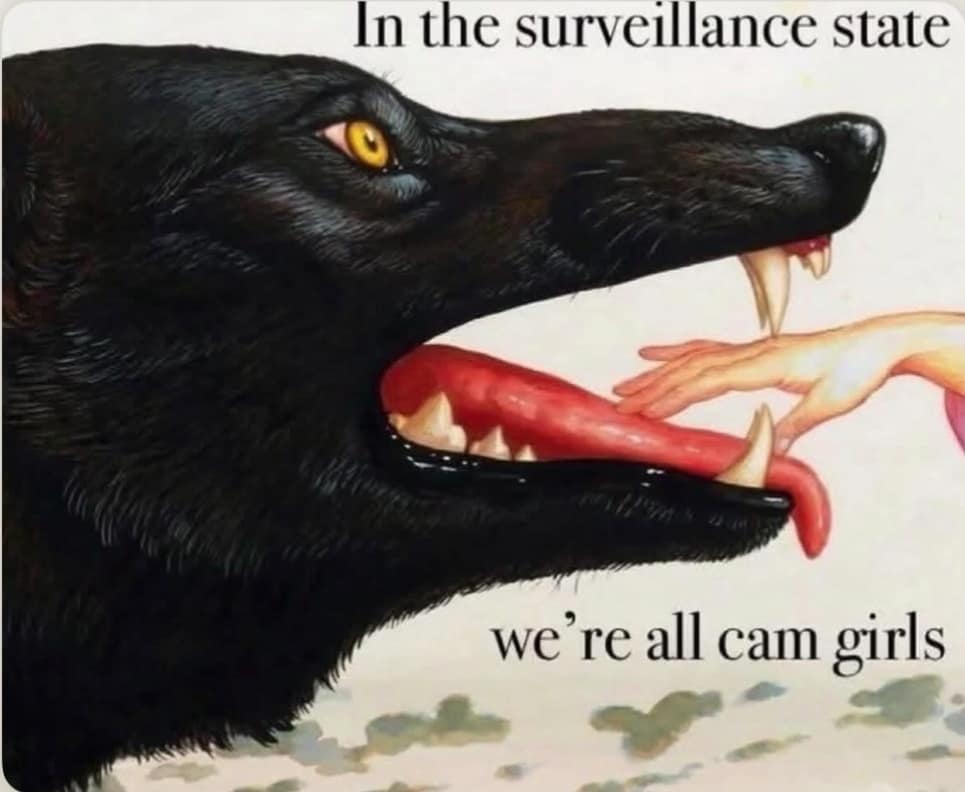 A hilarious meme with an illustration of a wolf, captioned "In the surveillance state we're all cam girls."