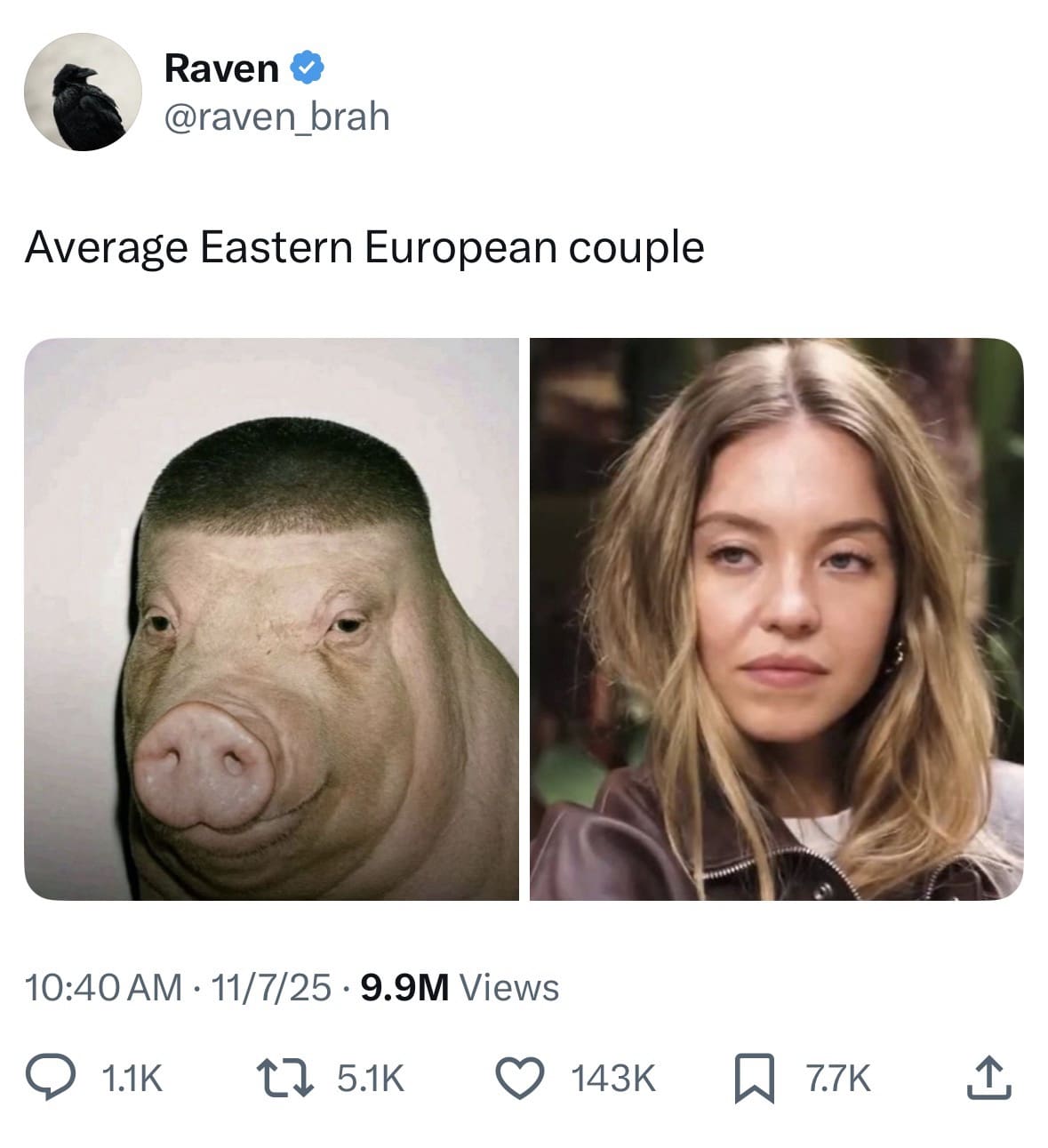 A hilarious meme and viral tweet roasting the "Average Eastern European couple" with a picture of a pig with a fade.