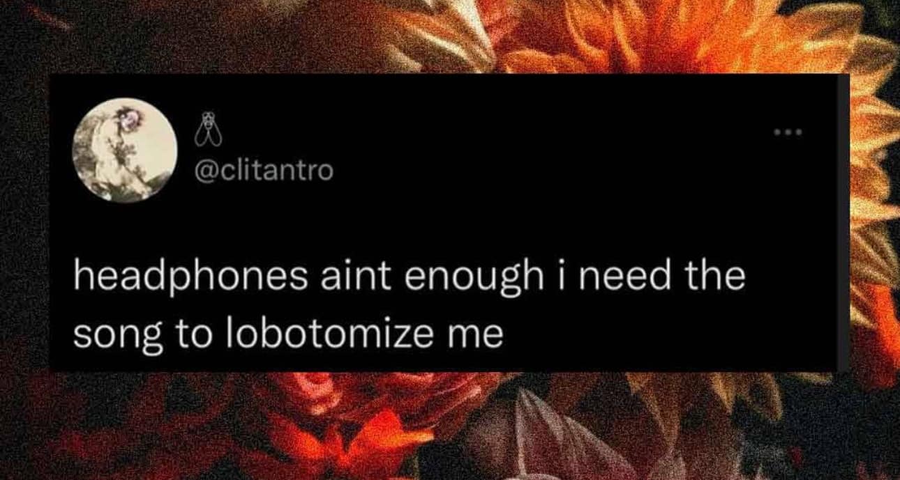 A hilarious meme from a viral tweet: "headphones aint enough i need the song to lobotomize me."
