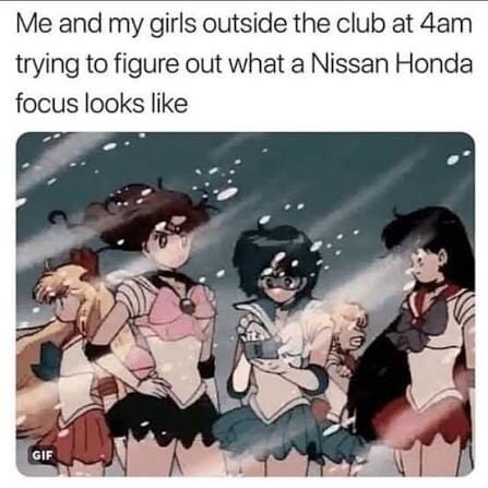 Funny meme of a dog watching a scary movie through a pillow