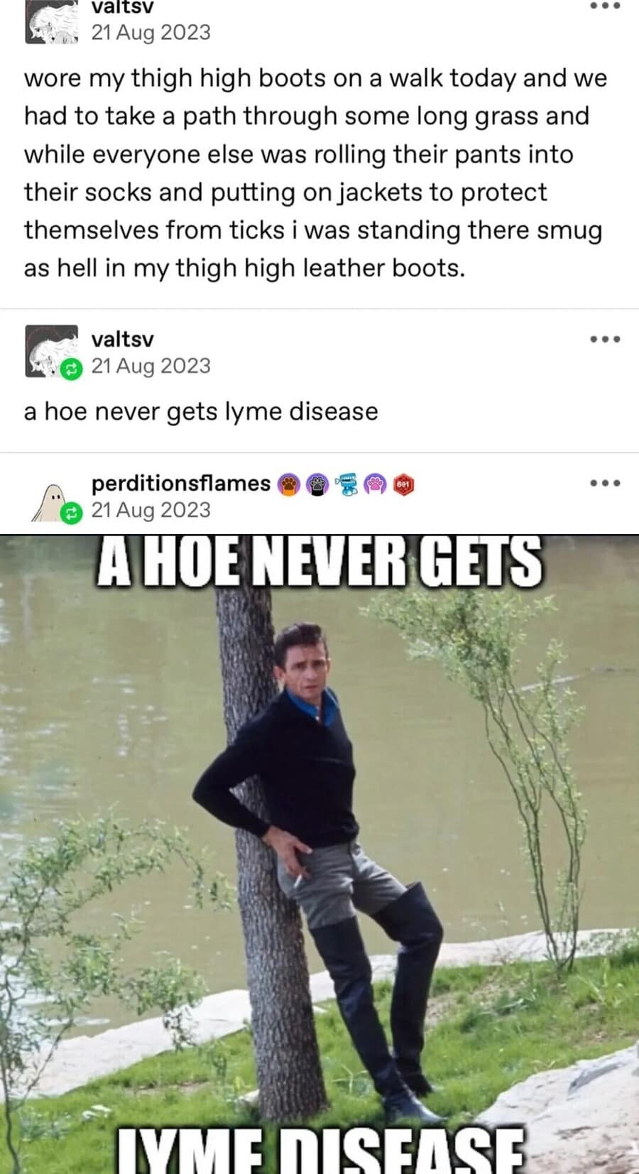 A hilarious meme from a Tumblr post where the punchline is "a hoe never gets lyme disease."