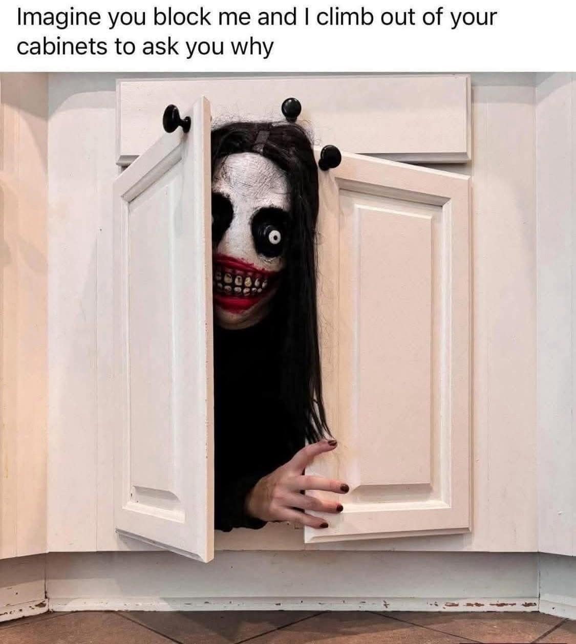 A hilarious meme of a scary monster climbing from a cabinet to ask why you blocked them.