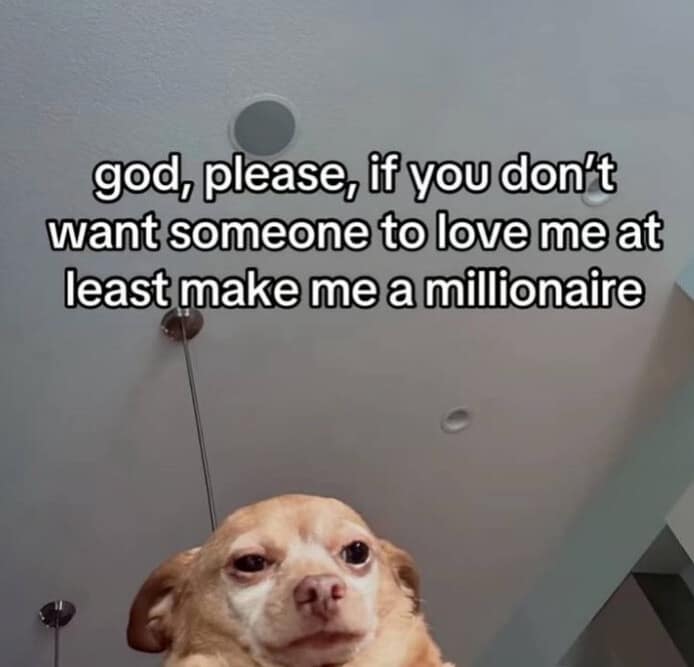 A funny meme of a sad dog asking God to "at least make me a millionaire."
