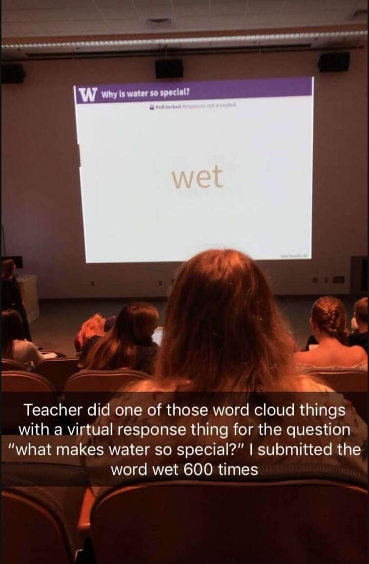 A funny meme of a student who spammed a "what makes water so special" word cloud with the word "wet" 600 times