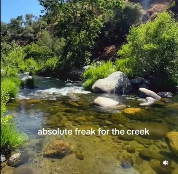 Hilarious meme declaring love for nature with the phrase freak for the creek