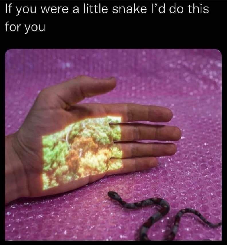 A wholesome and funny meme of a person projecting a "forest" onto their hand for a tiny "little snake."
