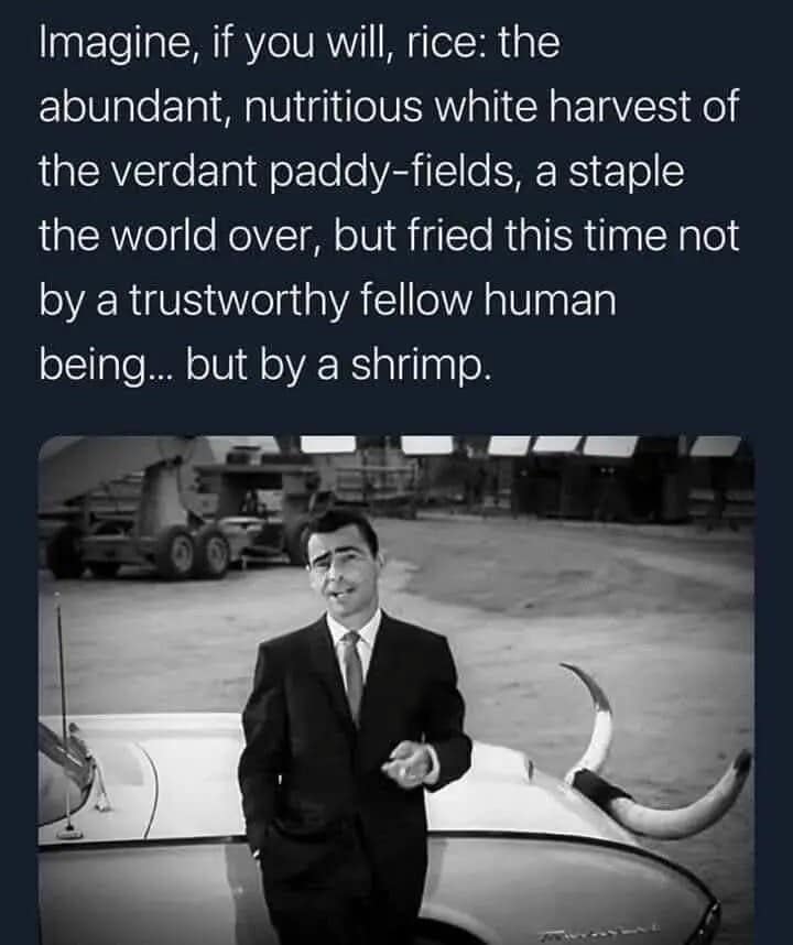 A hilarious meme of Rod Serling from The Twilight Zone describing shrimp-fried rice in his iconic voice