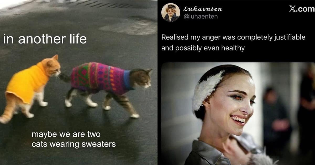 A hilarious meme dump gallery full of funny memes and viral tweets for your Monday.