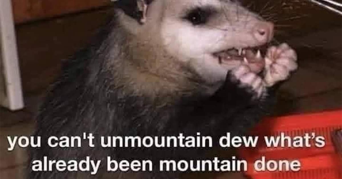 A hilarious meme dump of the week's best funny memes and viral tweets.