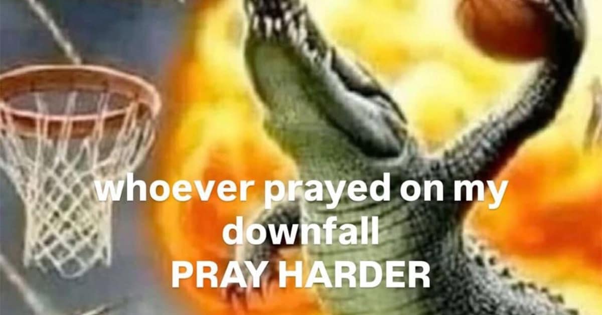 A hilarious meme dump of the week's best funny memes and viral tweets.