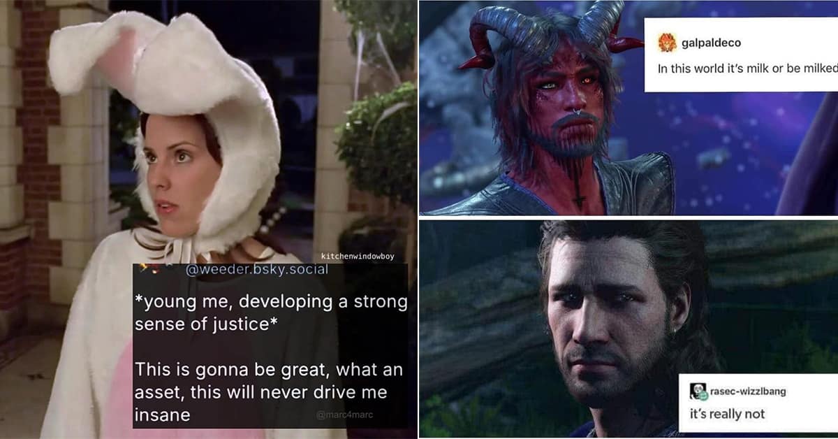 A hilarious meme meme dump of the best funny memes and viral tweets for this Friday