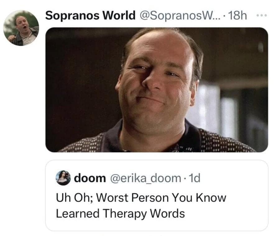 Funny mental health meme of Tony Soprano, captioned "Uh Oh; Worst Person You Know Learned Therapy Words."