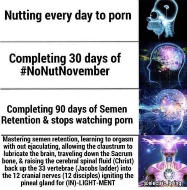 An "expanding brain" meme about No Nut November, escalating from simple participation to spiritual "in-light-ment."