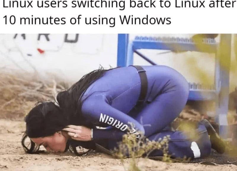 A funny programmer meme showing a Linux user "kissing the ground" after using Windows for 10 minutes
