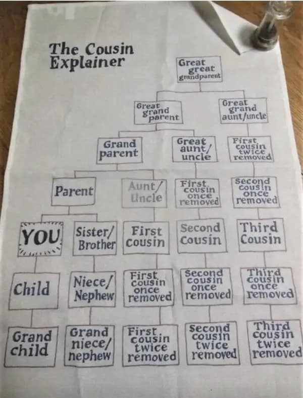 A helpful family tree diagram called "The Cousin Explainer" to figure out complex cousin relationships.