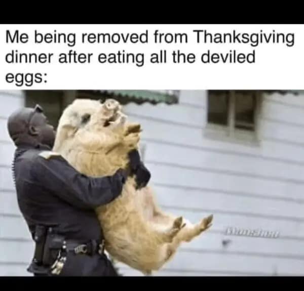 Thanksgiving food meme of a pig being carried away by police