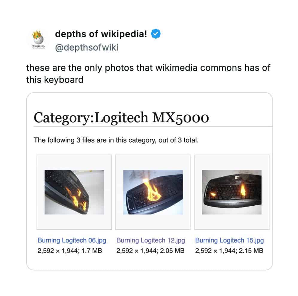 An unhinged Wikipedia entry for a Logitech keyboard, where the only three photos are of it on fire.