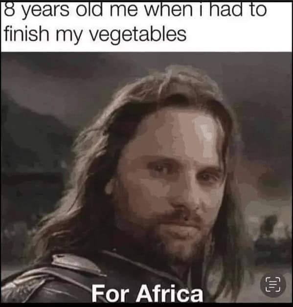 Aragorn vegetable meme saying "For Africa" instead of "For Frodo."