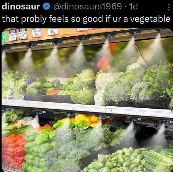 Vegetable meme suggesting produce misters feel good for the plants