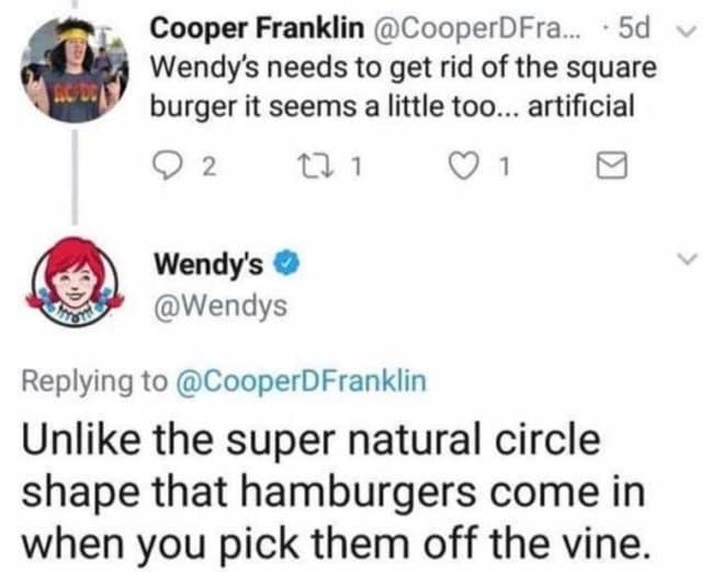 Sarcastic Wendy's social media roast about square burgers, joking that round burgers are "picked from the vine."