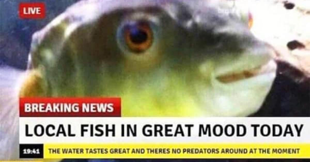 Collection of the best wholesome meme images and uplifting meme content for the weekend.