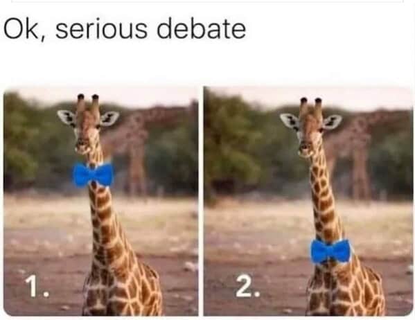 A wildlife meme of a squirrel doing a superhero landing pose on the ground.