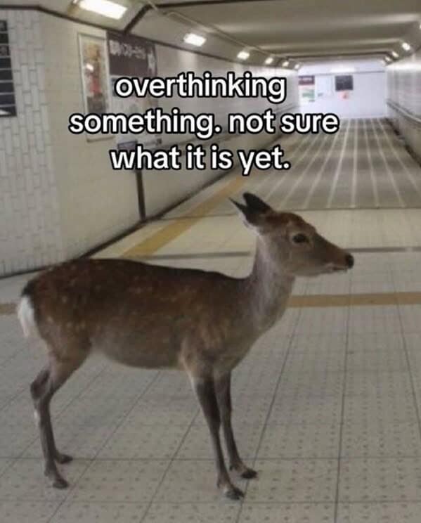 A wildlife meme of a fox diving headfirst into the snow, leaving only its butt visible.