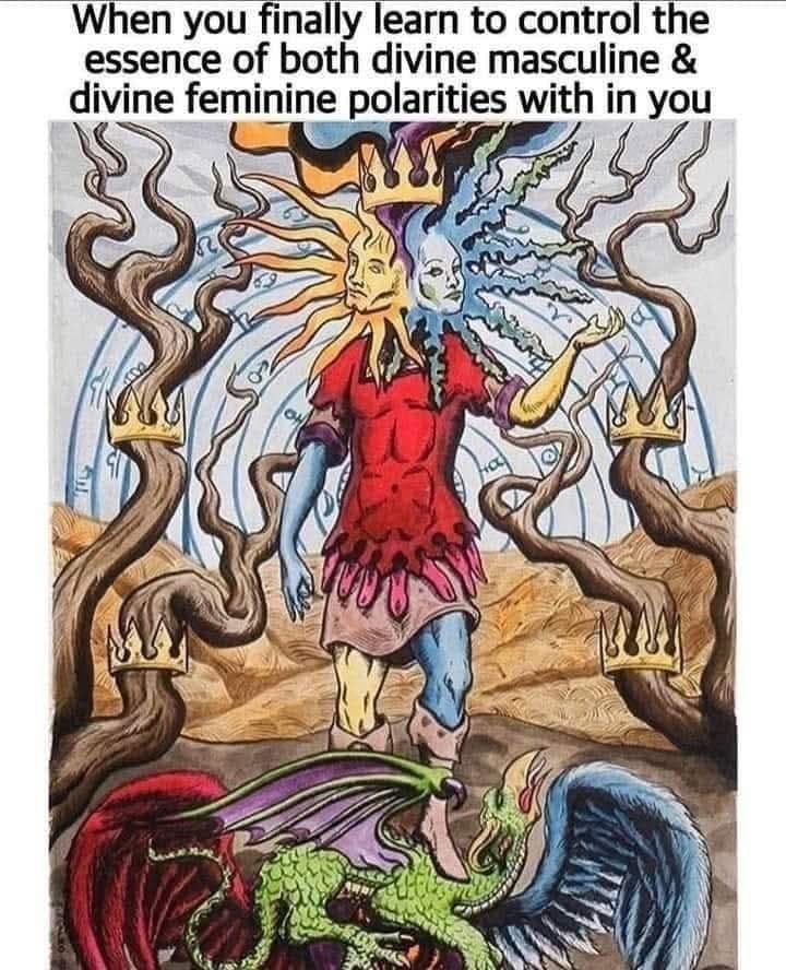 Wizard meme depicting the balance of masculine and feminine energies in one being
