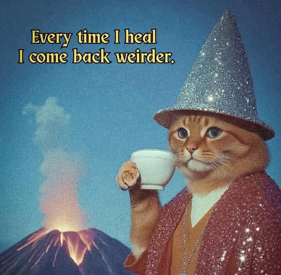 A wizard meme of a cat in a sparkly hat and robe, saying "Every time I heal I come back weirder."