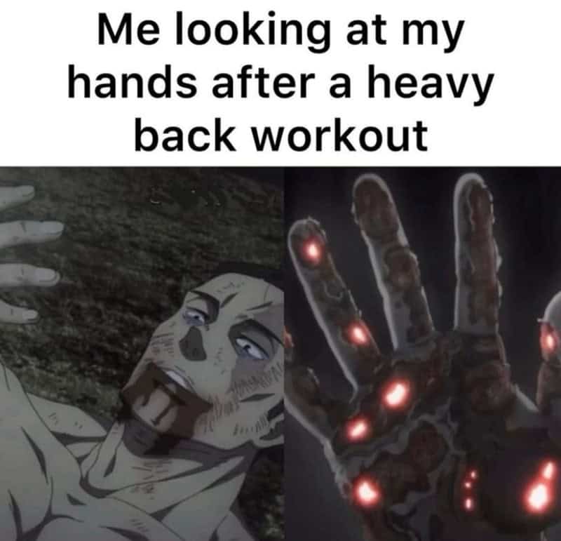 Workout meme showing calloused hands after a heavy back workout using anime imagery