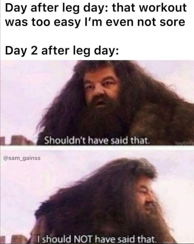 Workout meme using Hagrid to describe the delayed pain of leg day
